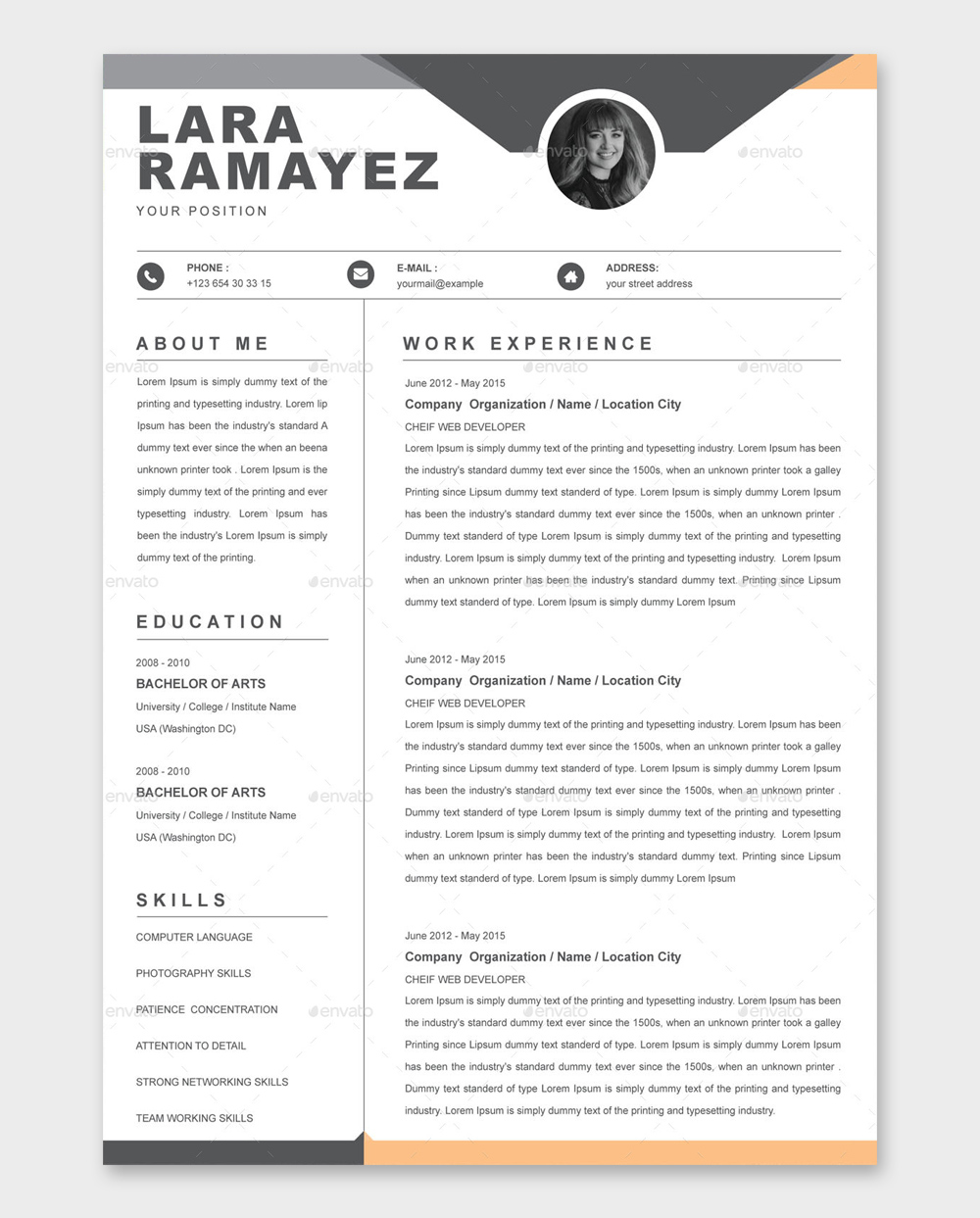 Professional Resume Format in Word