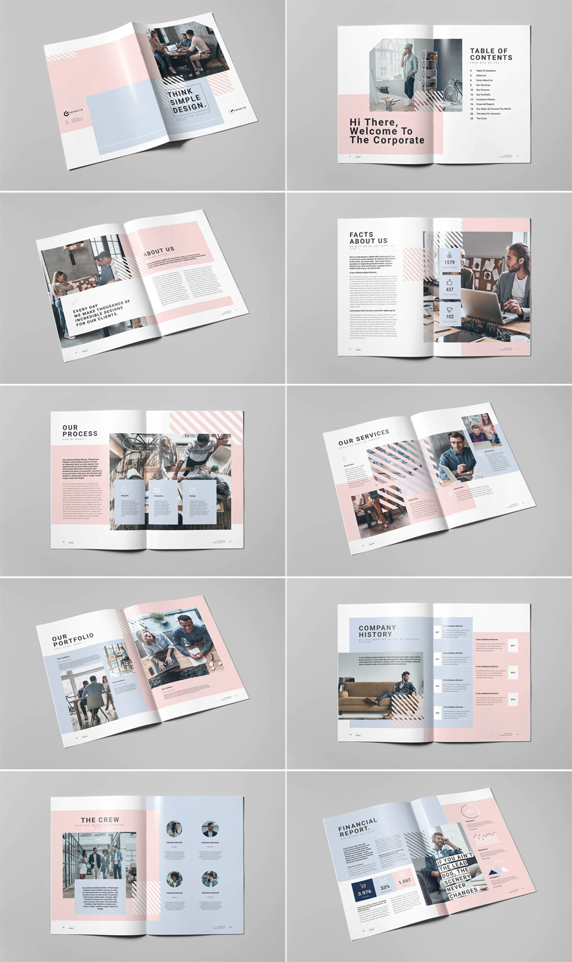 Business Brochure Template INDD