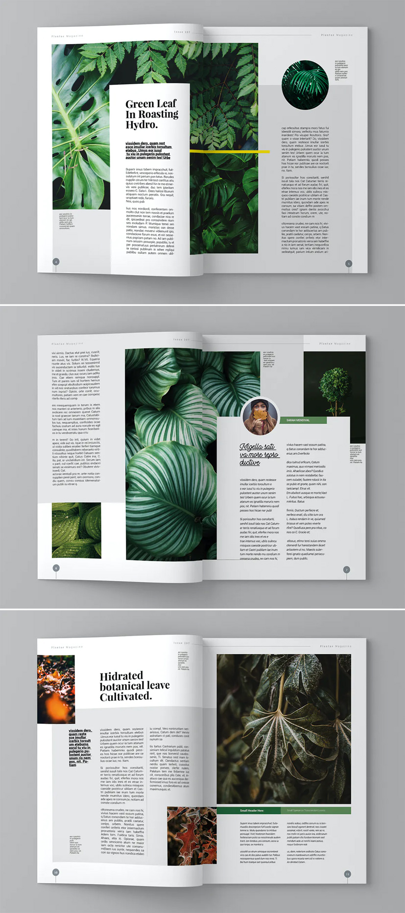 Plant Magazine Template